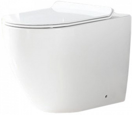 Platinia Vas WC de podea Platinia Carlo Rimless Duroplast