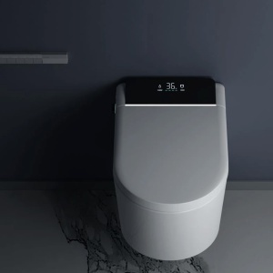 Vas wc smart, functie de bideu, capac incalzit, dezinfectare UV, cadru inclus, afisaj Led, Functii avansate, 59x38, Alb, Ralph - Img 4