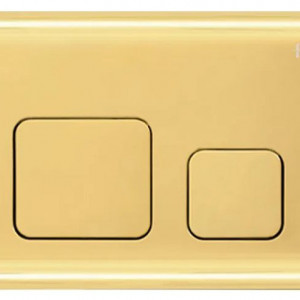 Buton F pentru cadrul WC încastrat Gold