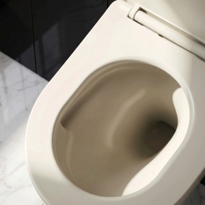 Set Vas WC Suspendat Focus + Lavoar pe Blat Rea Focus Creme - Img 7