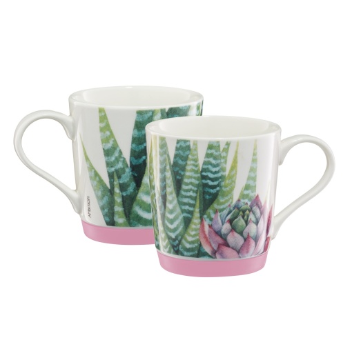 Cana 320ml, fund silicon roz deschis, Cactus