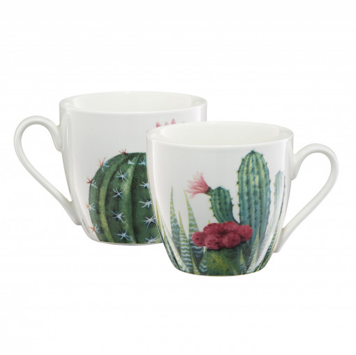 Cana mare 510ml, model cactus si aloe, Cactus