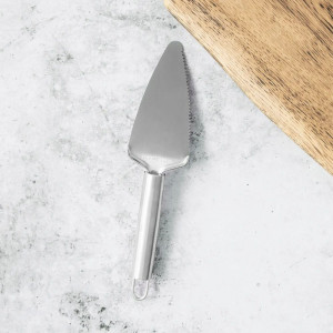 Spatula zimtata, Ivy - Img 4