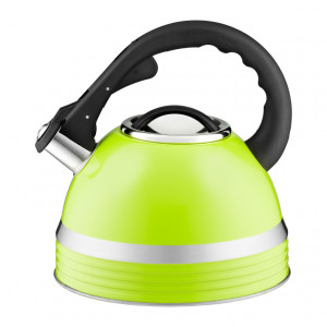 Ceainic inox 2.8L(3.5L), verde, Nemis