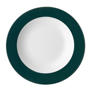 Articol din acest serviciu de masa Aura Green, cu o margine verde si o forma clasica