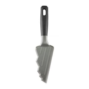 Spatula zimtata, Savant - Img 1