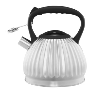 Ceainic inox 2.5L(3L), argintiu, Curly - Img 2