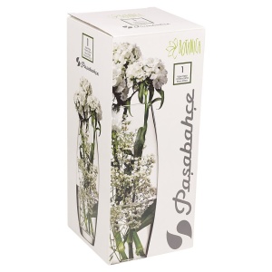 Vaza sticla 26cm, Botanica - Img 3