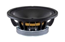 Difuzor woofer 10 inch B&C 10FW64 - 8 Ohm - Img 3