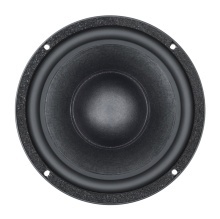 Difuzor woofer 10 inch B&C 10BG76 - 8 Ohm - Img 2