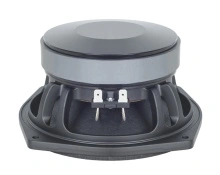 Difuzor woofer 6.5 inch B&C 6PS38 - 8 Ohm
