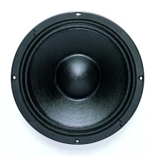 Difuzor woofer 10 inch B&C 10NW76 - 8 Ohm - Img 2