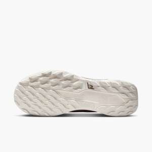 Nike Pegasus Trail 5 GORE-TEX SP - Img 3