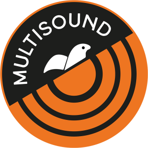 MultiSound