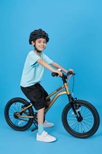 Bicicleta Royal Baby Kable-Belt 16 Golden - Img 6