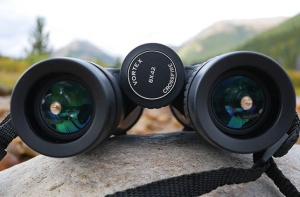 Binoclu Vortex Crossfire HD 10x42 - Img 5