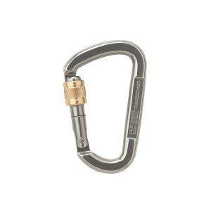 Carabiniera D Asymm Stainless Steel Screwl Polished | 40Kn