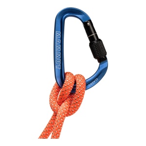 Carabiniera Mammut Classic HMS Screwgate Carabiner Blue - Img 2