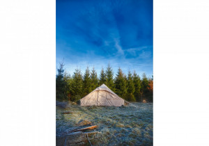 Cort Utgard 13.2 Basic Natural Spirit Nordisk - Img 6
