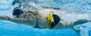 Finis Tech Doc - Img 2