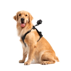 Ham de prindere pentru animale Insta360 - mărimea L - Img 3