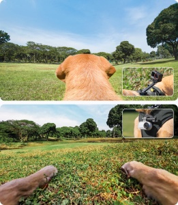 Ham de prindere pentru animale Insta360 - mărimea L - Img 13