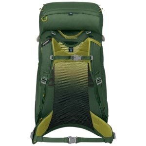 Rucsac copii Osprey Ace 38 Verde - Img 4