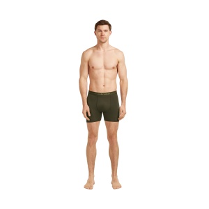 Boxeri Barbati Icebreaker Merino 150 Anatomica Gri - Img 3
