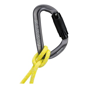 Carabiniera Mammut Sender Twistlock Grey - Img 2