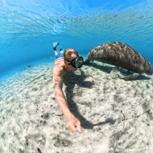 Carcasă scufundări Insta360 X5 Invisible Dive Case | waterproof 60m - Img 6