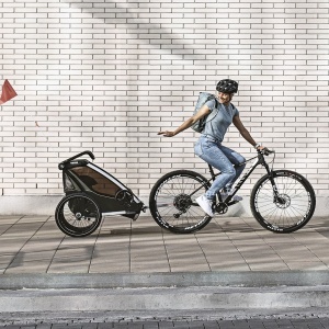 Carucior multisport Thule Chariot Lite double, Vintage Green - Img 2