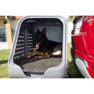 Cutie portbagaj pe carligul de remorcare Towbox V2 DOG Gri - Img 3