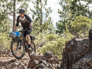 Portbagaj Topeak TetraRack M2 TA2408M2, pentru MTB - Img 6