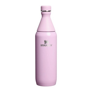 Sticla Apa Stanley The All Day Slim Purple 0.6L