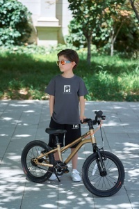 Bicicleta Royal Baby Kable-Belt 16 Golden - Img 10