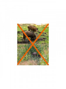 Hukinol substanta repelent animale salbatice - Img 2