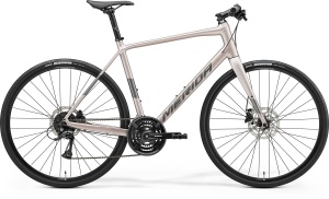 Merida Speeder 100 Iii1 City Rose (Griarmă)