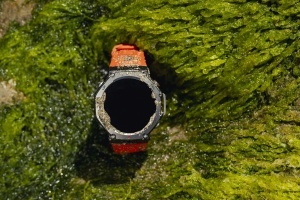 Smartwatch sport cu GPS si ecran AMOLED - Amazfit T-Rex - lava - Img 14