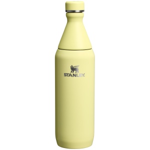 Sticlă termoizolantă Stanley All Day Slim Bottle 0.59L - Pomelo