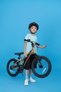 Bicicleta Royal Baby Kable-Belt 16 Golden - Img 7