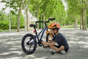Bicicleta Royal Baby Kable-EZ 16 Golden - Img 5