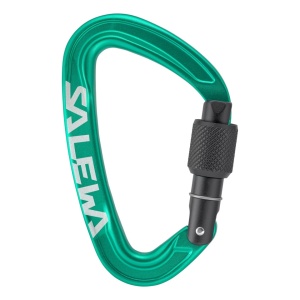 Carabiniera Salewa Ortles Screw