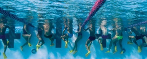 Finis Zoomers Gold labe scurte - Img 3