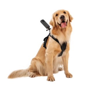Ham de prindere pentru animale Insta360 - mărimea L - Img 4