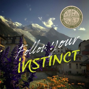 Instinct - vesta alergare tip rucsac - Komando - 17L - Img 14