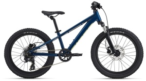 Bicicleta Copii Giant STP FS 20” Blue Palace