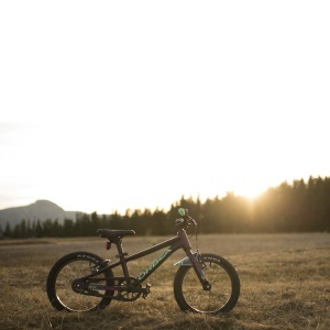 Bicicletă copii Orbea MX 20 DIRT - Purple (Matt) | Mint (Gloss) - Img 3