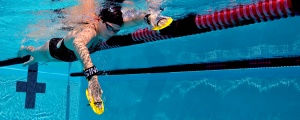 Finis Bolster palmare - Img 2