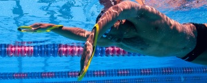 Finis Fulcrum Antebrat adulti - Img 2