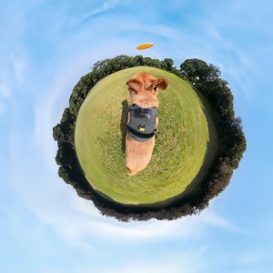 Ham de prindere pentru animale Insta360 - mărimea L - Img 11